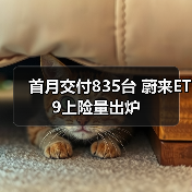 首月交付835台 蔚来ET9上险量出炉（图1）