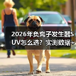 2026年负离子发生器SUV怎么选？实测数据+避坑清单一次讲透（图3）