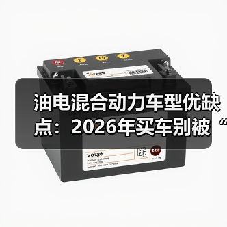油电混合动力车型优缺点:2026年买车别被“省油”两个字骗了(图4) 油电混合动力车型优缺点:2026年买车别被“省油”两个字骗了(图4)