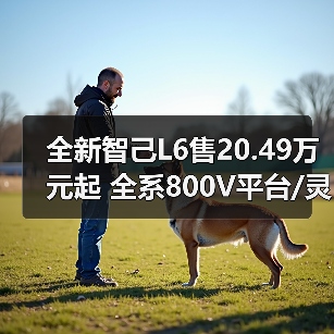 全新智己L6售20.49万元起 全系800V平台/灵蜥数（图3）