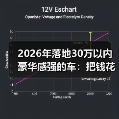 2026年落地30万以内豪华感强的车：把钱花在“看得见的质感”上（图3）