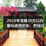 2026年落地30万以内豪华感强的车：把钱花在“看得见的质感”上（图4）