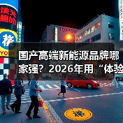 国产高端新能源品牌哪家强？2026年用“体验账本”选出真强者（图3）
