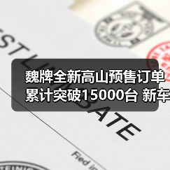 魏牌全新高山预售订单累计突破15000台 新车将于(图4) 魏牌全新高山预售订单累计突破15000台 新车将于(图4)