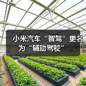 小米汽车“智驾”更名为“辅助驾驶”（图4）