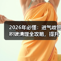 2026年必懂:进气歧管积碳清理全攻略,提升动力从这里开始(图4) 2026年必懂:进气歧管积碳清理全攻略,提升动力从这里开始(图4)