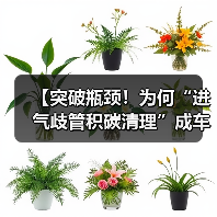 【突破瓶颈!为何“进气歧管积碳清理”成车主必修课】(图3) 【突破瓶颈!为何“进气歧管积碳清理”成车主必修课】(图3)