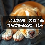 【突破瓶颈！为何“进气歧管积碳清理”成车主必修课】