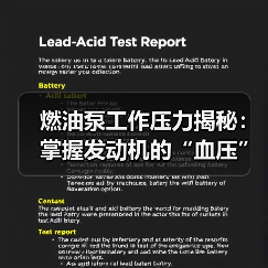 燃油泵工作压力揭秘：掌握发动机的“血压”奥秘