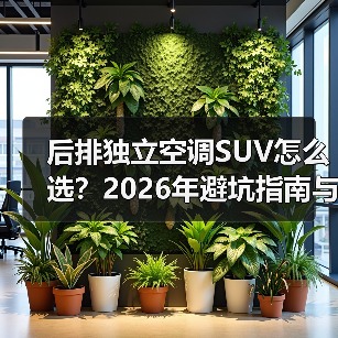 后排独立空调SUV怎么选?2026年避坑指南与实测清单(图2) 后排独立空调SUV怎么选?2026年避坑指南与实测清单(图2)