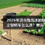 2026年适合跑高速的稳定型轿车怎么选？看完少花冤枉钱