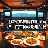 【碳罐电磁阀作用全解析：汽车排放治理的秘密武器】