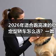 2026年适合跑高速的稳定型轿车怎么选?一篇讲透底盘、风噪与安全(图2) 2026年适合跑高速的稳定型轿车怎么选?一篇讲透底盘、风噪与安全(图2)