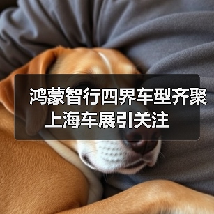 鸿蒙智行四界车型齐聚上海车展引关注（图3）