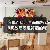 汽车百科：全面解析EGR阀故障表现背后的秘密