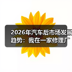 2026年汽车后市场发展趋势：我在一家修理厂看到的5个新机会（图4）