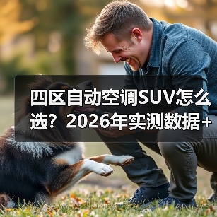 四区自动空调SUV怎么选？2026年实测数据+避坑清单，看完少走弯路（图4）