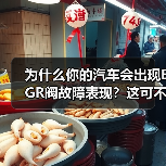 为什么你的汽车会出现EGR阀故障表现？这可不是普通的故障——它可能在你毫无察觉时悄然发生，却严重影响汽车性能。2026年最新调研数据显示，超过12%的二手车因E（图3）