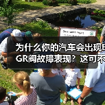 为什么你的汽车会出现EGR阀故障表现？这可不是普通的故障——它可能在你毫无察觉时悄然发生，却严重影响汽车性能。2026年最新调研数据显示，超过12%的二手车因E（图4）