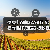 硬核小跑车22.98万 配横置推杆减振器 极致性能（图2）