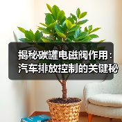 揭秘碳罐电磁阀作用：汽车排放控制的关键秘密（图1）