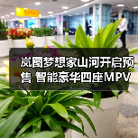 岚图梦想家山河开启预售 智能豪华四座MPV首曝（图4）