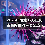 2026年落地12万以内省油耐用的车怎么选：我用一张表帮你省下冤枉钱（图1）