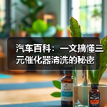 汽车百科：一文搞懂三元催化器清洗的秘密（图3）