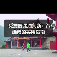 减震器漏油判断：汽车维修的实用指南（图2）