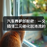 汽车养护新秘密：一文搞懂三元催化器清洗的全部（图2）