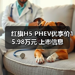 红旗H5 PHEV优享价15.98万元 上市信息（图3）
