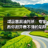 减震器漏油判断：专家教你避开看不懂的陷阱（图1）