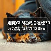 别克GL8陆尚插混版30万起售 续航1420km 竞品分析（图4）