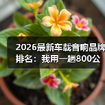 2026最新车载音响品牌排名:我用一趟800公里高速,听出差距(图2) 2026最新车载音响品牌排名:我用一趟800公里高速,听出差距(图2)