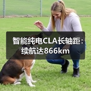 智能纯电CLA长轴距:续航达866km(图3) 智能纯电CLA长轴距:续航达866km(图3)