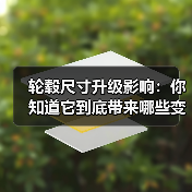 轮毂尺寸升级影响:你知道它到底带来哪些变化吗?(图3) 轮毂尺寸升级影响:你知道它到底带来哪些变化吗?(图3)