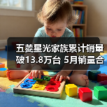 五菱星光家族累计销量破13.8万台 5月销量合计35(图3) 五菱星光家族累计销量破13.8万台 5月销量合计35(图3)