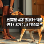 五菱星光家族累计销量破13.8万台 5月销量合计35(图4) 五菱星光家族累计销量破13.8万台 5月销量合计35(图4)