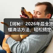 【揭秘!2026年最全顶棚清洁方法,轻松搞定车顶尘垢】(图1) 【揭秘!2026年最全顶棚清洁方法,轻松搞定车顶尘垢】(图1)