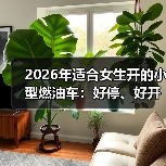 2026年适合女生开的小型燃油车:好停、好开、好养的挑车清单(图2) 2026年适合女生开的小型燃油车:好停、好开、好养的挑车清单(图2)