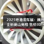 2025粤港澳车展:魏牌全新高山亮相 售价30.98万(图3) 2025粤港澳车展:魏牌全新高山亮相 售价30.98万(图3)