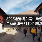 2025粤港澳车展:魏牌全新高山亮相 售价30.98万(图4) 2025粤港澳车展:魏牌全新高山亮相 售价30.98万(图4)