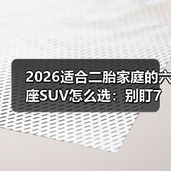2026适合二胎家庭的六座SUV怎么选：别盯7座，6座更香（图4）